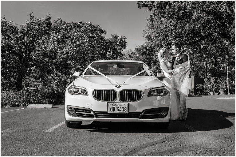 ruxandra photography sonoma wedding photographer